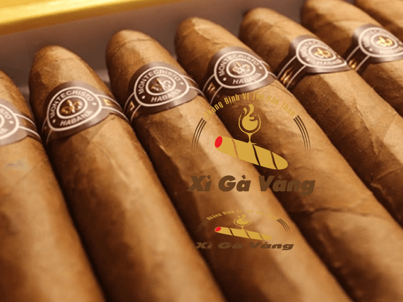 Montecristo - thương hiệu được yêu thích tại Việt Nam